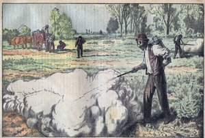 تدمير mulots (Apodemus) بالغاز الخانق في الفجر - نقش بواسطة Damblans - le-pelerin عام 1923 بواسطة يوجين دامبلانز
