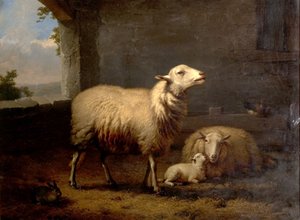 خروف ، 1876