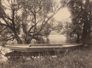 Corot's Pond ، فيل دافراي (Corot's Pond ، Ville-d'Avray)