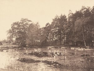 مارش في بيات بيل كروا بلاتو ، ج. 1863.