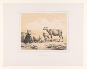 ماعز وغنم وحملان حيوانات مختلفة (عنوان المسلسل) Etudes d