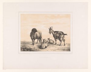 الأغنام والماعز وثلاثة من الماعز الصغار حيوانات مختلفة (عنوان المسلسل) Etudes d
