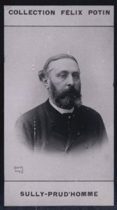 Armand Sully Prudhomme (1839) (b/w photo) بواسطة المصور الأوروبي