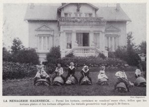 La Menagerie Hagenbeck (صورة b / w) بواسطة المصور الأوروبي