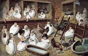 صغار تفقس من البيض في بيت دجاج (طباعة حجرية ملونة) بواسطة المدرسة الأوروبية