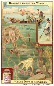 Charybdis و Lucernia الهرمي (Chromolitho) بواسطة المدرسة الأوروبية