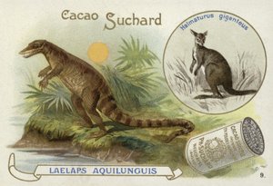 Dryptosaurus والكنغر بواسطة المدرسة الأوروبية
