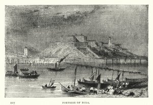 Fortress of Buda (engraving) بواسطة المدرسة الأوروبية