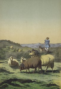 Heaths of Central Europe: الراعي وكلب الراعي مع Moorland و Merino الأغنام (لون ليثو) بواسطة المدرسة الأوروبية