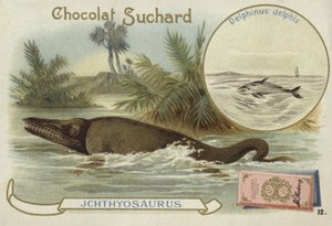 Ichthyosaur والدلافين المشتركة بواسطة المدرسة الأوروبية