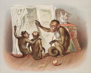 تعليم القرد (كروموليثو) بواسطة المدرسة الأوروبية