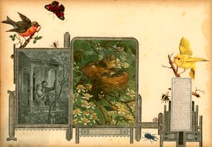 صفحة من المجلد الأول من ساملسوريوم (مادة مطبوعة) بواسطة المدرسة الأوروبية