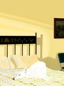  بواسطة إيفان سكلار