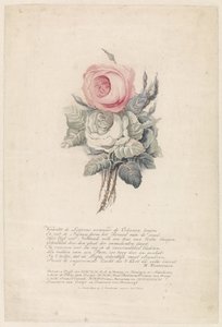 ورود