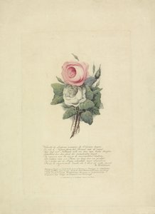 الورود مع الصور الظلية للعائلة المالكة ، 1816