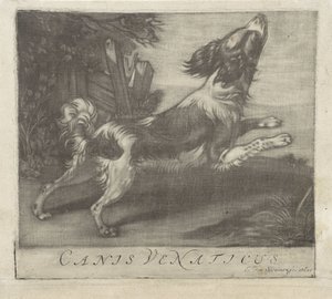 قفز الكلب كانيس فيناتيكوس (العنوان على الكائن) بواسطة إيفرت فان سوينين