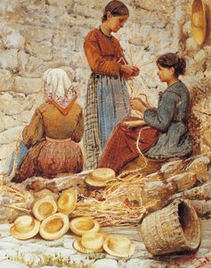 ضفائر القش التوسكانية (Trecciaiole)