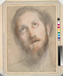 دراسة لرأس المسيح (الطباشير الملون والباستيل على الورق) بواسطة Federico Fiori Barocci أو Baroccio