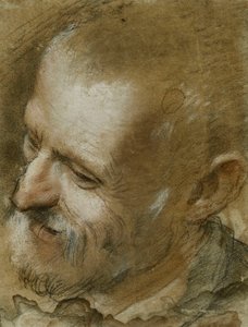 دراسة رأس رجل ملتح تحول إلى اليسار ، 1590 بواسطة Federico Fiori Barocci أو Baroccio
