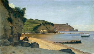 المارينا الجنوبية ، بواسطة فيديريكو روسانو (1835-1912) ، زيت على قماش ، 34x59 سم.