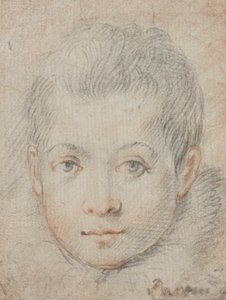 رأس صبي بواسطة Federico Zuccaro