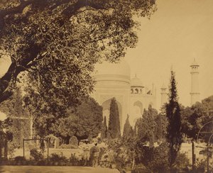 Taj Mahal بواسطة فيليس بيتو