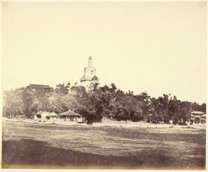  بواسطة هنري هيرينج