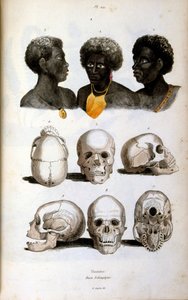 رسم توضيحي أنثروبولوجي يصور العرق الإثيوبي بواسطة Felix-Edouard Guerin