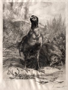 التدرج ، 1899. بواسطة فيليكس براكيموند