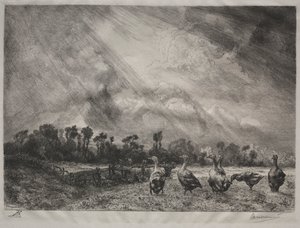 سحابة العاصفة ، 1878-1887. بواسطة فيليكس براكيموند
