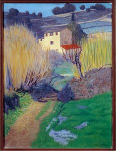 منظر طبيعي في Cagnes رسم فيليكس فالوتون (1865-1925) 1921 صن. 0،8x0،6 م روان ، متحف الفنون الجميلة بواسطة فيليكس إدوارد فالوتون