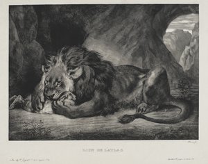 Lion de lAtlas, 1829  بواسطة فرديناند فيكتور يوجين ديلاكروا