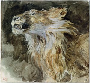 رأس أسد (ألوان مائية على ورق)