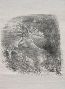 الحصان البري ، أو الحصان الخائف الذي يترك الماء ، 1828. بواسطة فرديناند فيكتور يوجين ديلاكروا
