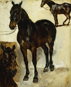 ثلاث دراسات للخيول. ثلاث دراسات للخيول ، ج .1823 بواسطة فرديناند فيكتور يوجين ديلاكروا