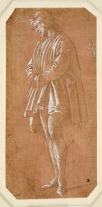 Study of a young man standing with his hands folded in his sleeves (metalpoint on paper prepared pink, heightened with white body colour) بواسطة فلبيني ليبي