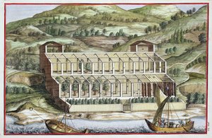 هيكل الدفيئة ، من "Hesperides" بقلم جيوفاني باتيستا فيراري ، منقوش بواسطة Cammillo Congio (fl.1630) ، نشر 1646 بواسطة فيليبو جاجلياردي