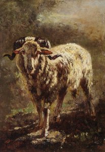 معزة بواسطة فيليبو باليزي