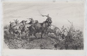 أطفال من البركة بواسطة فيليبو باليزي