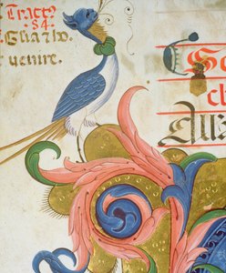 Missal 515 f.28v طائر خيالي برأس إنسان يقف على زاوية بداية تاريخية ، تفاصيل من كتاب جوقة تم تنفيذه قبل 1449 تفاصيل رقمية 56724