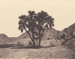 مصر والنوبة. مواقع ومعالم ... مصور أطلس ... الجزء الثاني. النوبة بواسطة فيليكس تينارد