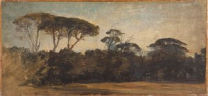 أشجار الصنوبر بالقرب من نابولي، حوالي عام 1847 (زيت على ورق على قماش) بواسطة فيليكس زيم