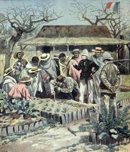 الفرنسيون يعطون دروسًا في الزراعة للسكان الأصليين في مدغشقر عام 1897 (نقش)