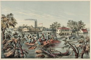 ارتفاع المياه في المسيسيبي ، حانة .1868