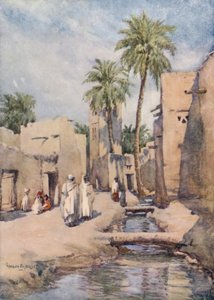 واحة بسكرة الجزائر