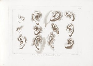 اثنا عشر آذان مبادئ سيبرياني للرسم (عنوان السلسلة) أساسيات رسم شبرياني (عنوان السلسلة) بواسطة جيوفاني باتيستا سيبرياني