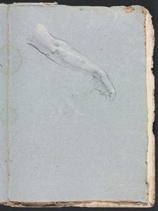 فيرونا كراسة الرسم: الذراع الأيمن واليد الصفحة 95 ، 1760. بواسطة فرانشيسكو لورينزي