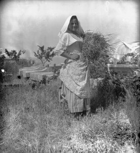 بورتريه لفلاح، أبروتسو، إيطاليا، حوالي عام 1900 (صورة فوتوغرافية بالأبيض والأسود)