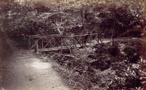 كولوين باي. جسر ريفي في الغابة ، 1870. بواسطة فرانسيس بيدفورد