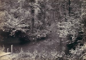 كولوين باي. The Pool in the Wood ، 1870s. بواسطة فرانسيس بيدفورد